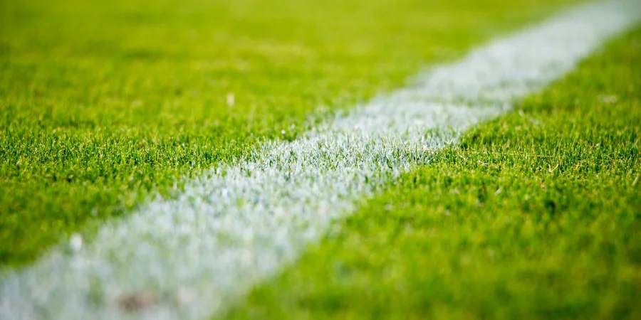 Orçamento Participativo: vota na modernização das instalações desportivas de Pereiras-Gare e Santa Clara-a-Velha