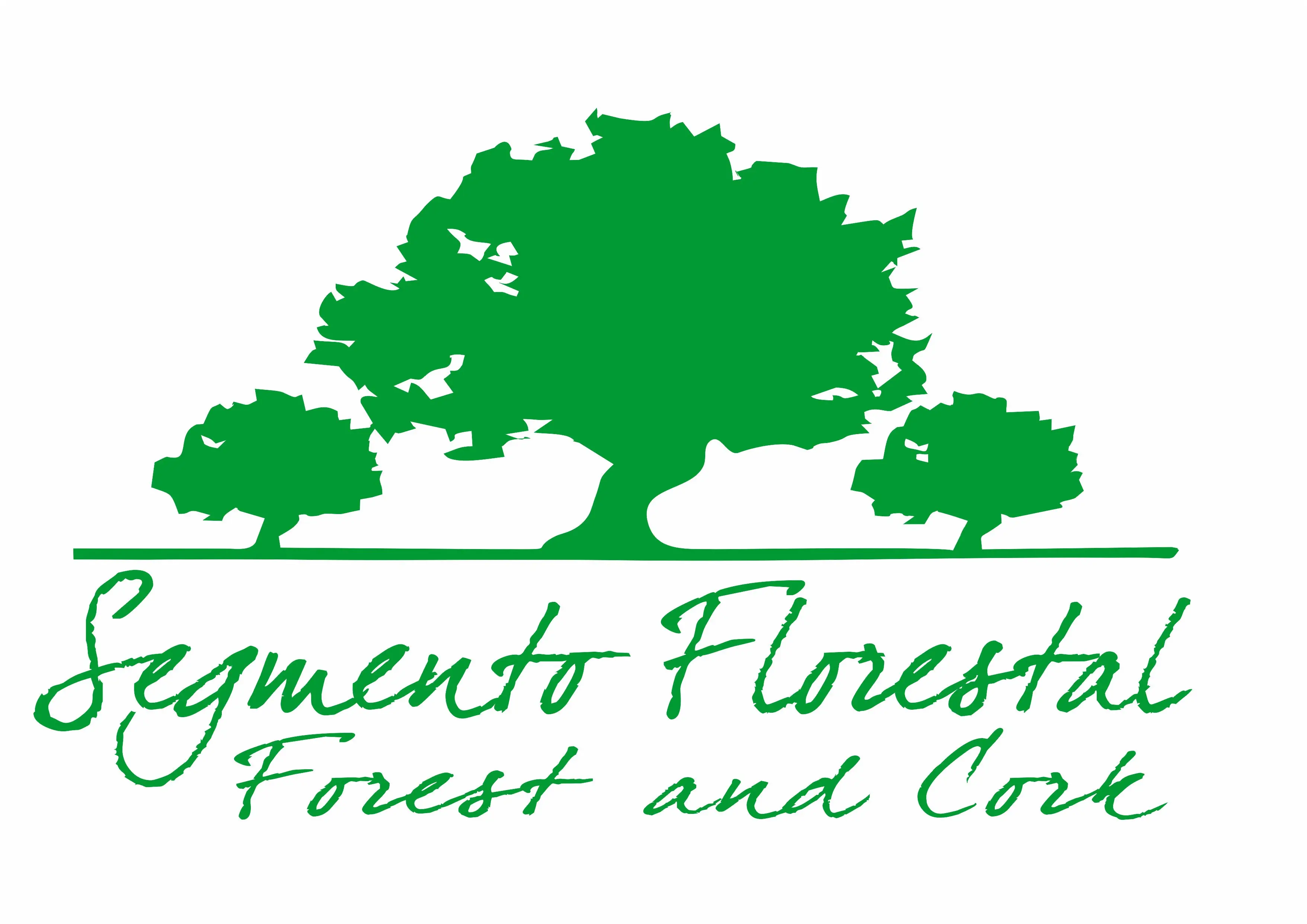 Segmento Florestal