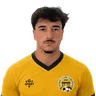 Tomas Vieira